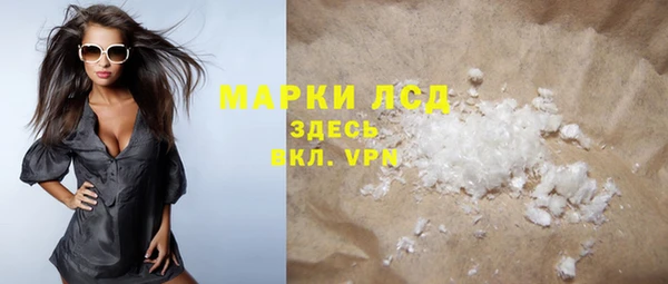 стафф Алексин