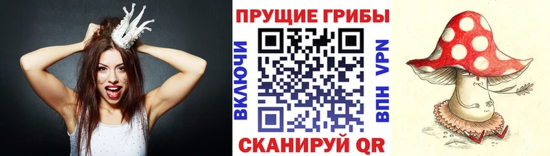 Галлюциногенные грибы Cubensis  МЕГА зеркало  Приморско-Ахтарск 