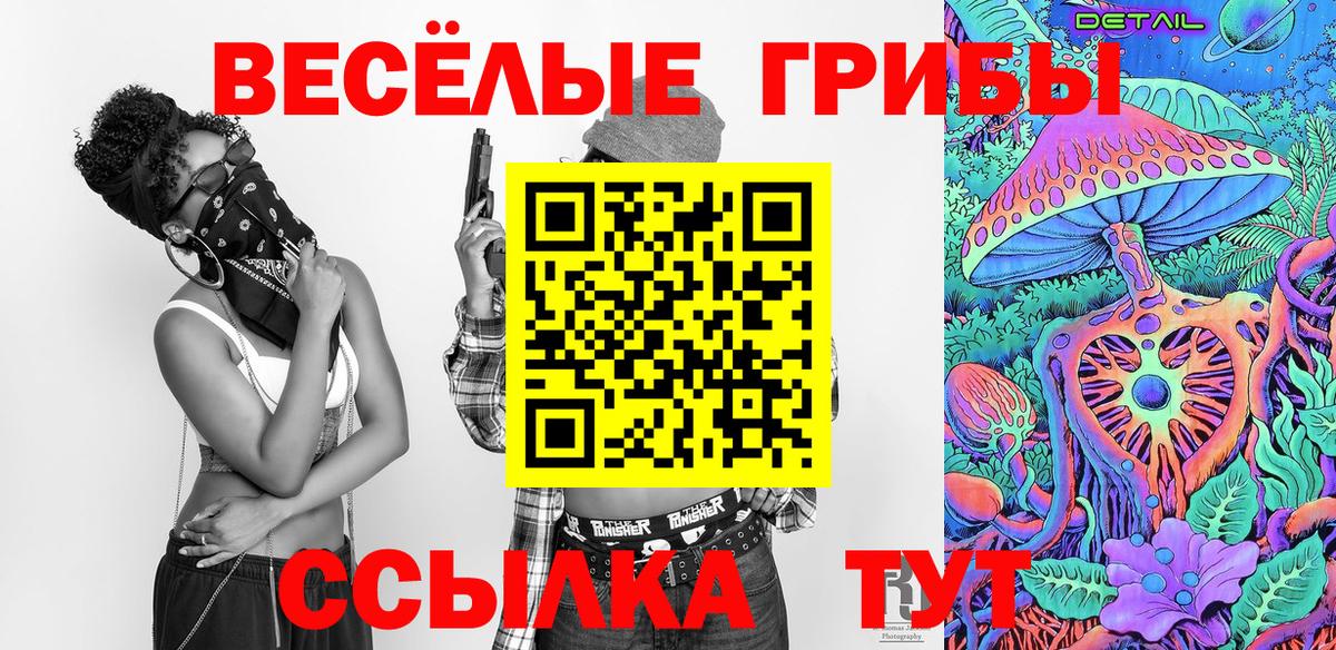 Псилоцибиновые грибы GOLDEN TEACHER  Вход с VPN  Приморско-Ахтарск 